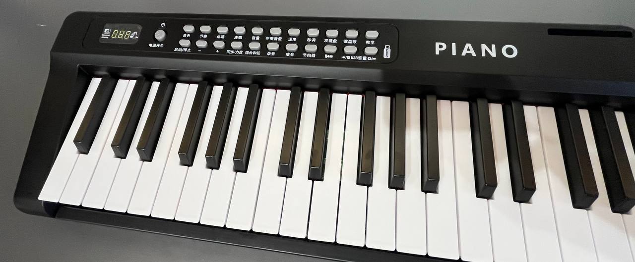Euphony P-1 цифровое пианино. 88 клавиш